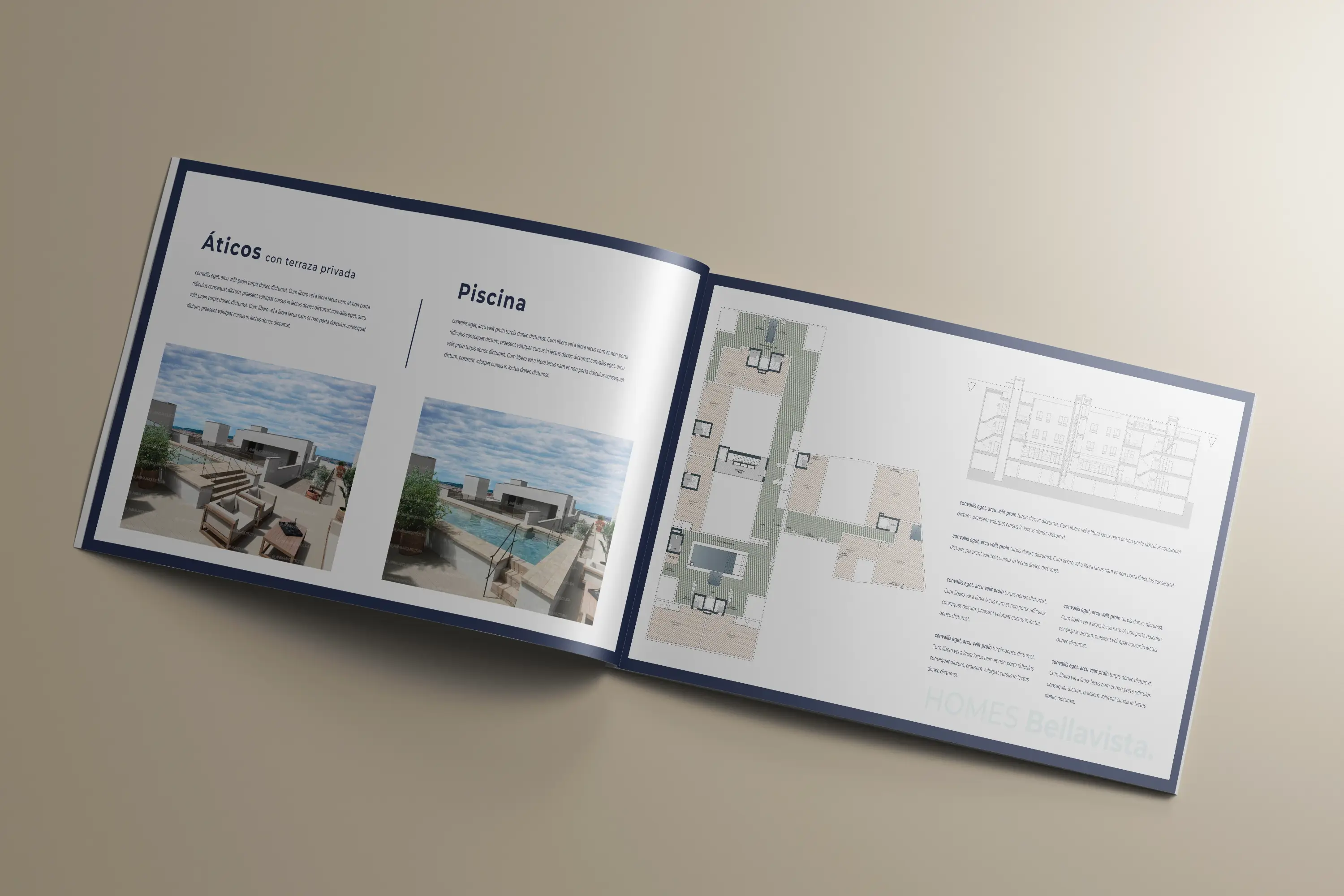 Homes Bellavista - Pagina Interior 01